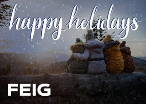 Happy Holidays - FEIG
